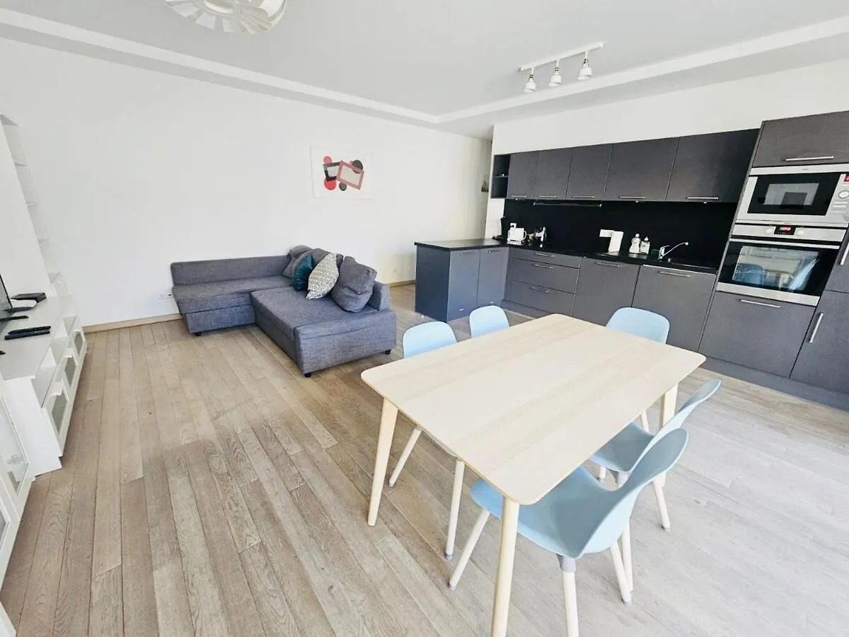 Modern Two Bedrooms In City Center With A Private Parking 卢森堡 卢森堡